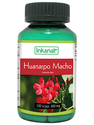 Huanarpo Macho en Cpsulas (100 x 400mg.)